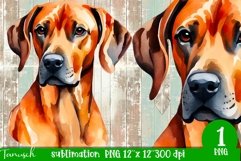 watercolor RHODESIAN RIDGEBACK sublimation PNG / dog design Product Image 1