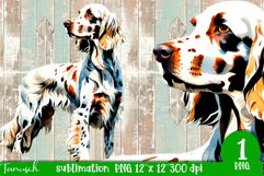 watercolor English Setter dog sublimation PNG Product Image 1