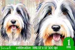 watercolor Bearded Collie dog sublimation PNG Product Image 1