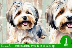 watercolor Havanese dog sublimation PNG Product Image 1