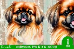watercolor PEKINESE sublimation PNG / dog design Product Image 1
