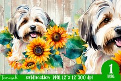 watercolor Havanese dog sublimation PNG Product Image 1