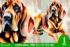 watercolor Bloodhound dog sublimation PNG Product Image 1