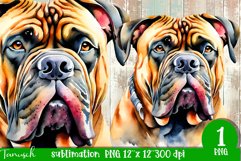 watercolor Bullmastiff dog sublimation mastiff PNG Product Image 1