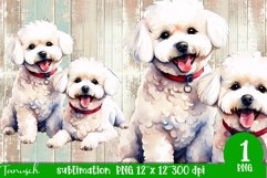 watercolor Bichon Frise dog sublimation PNG Product Image 1