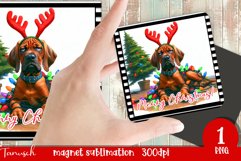funny MERRY christmas MAGNET Sublimation PNG / ridgeback Product Image 1