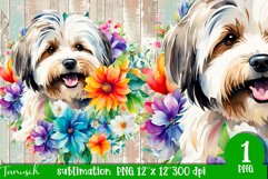 watercolor Havanese dog sublimation PNG Product Image 1