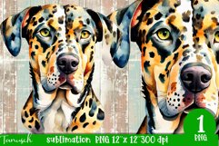 watercolor Catahoula Leopard dog sublimation mastiff PNG Product Image 1