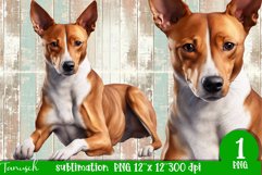 watercolor basenji sublimation PNG Product Image 1