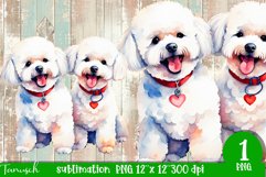 watercolor Bichon Frise dog sublimation PNG Product Image 1