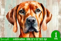 watercolor RHODESIAN RIDGEBACK sublimation PNG / dog design Product Image 1