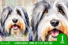 watercolor Bearded Collie dog sublimation PNG Product Image 1