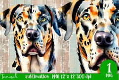 watercolor Catahoula Leopard dog sublimation mastiff PNG Product Image 1