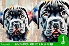 watercolor Cane Corso dog sublimation mastiff PNG Product Image 1