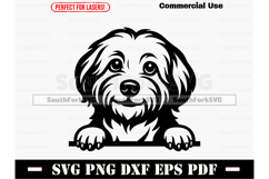 Peeking Havanese Dog SVG PNG DXF EPS PDF Product Image 1