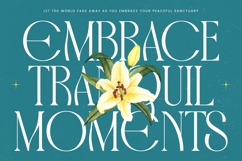 Havens Brooke - All Caps Serif Display Product Image 6