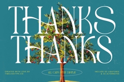 Havens Brooke - All Caps Serif Display Product Image 20