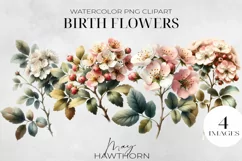 Birth Month Flowers Clipart, May Hawthorn PNG. Product Image 1