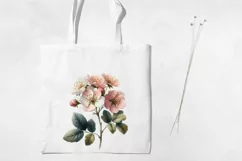Birth Month Flowers Clipart, May Hawthorn PNG. Product Image 3