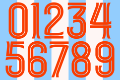 Hayatica Product Image 9