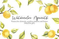 Watercolor Apricots Product Image 1