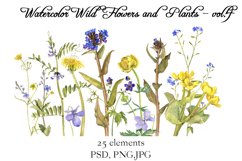 Watercolor Wild Flowers and Plants vol.4 Product Image 1
