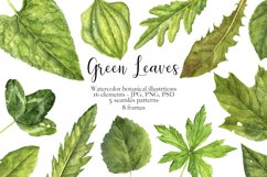 Watercolor Green Leaves Product Image 1