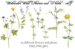 Watercolor Wild Flowers and Plants vol.4 Product Image 2