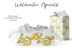 Watercolor Apricots Product Image 9