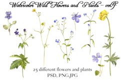 Watercolor Wild Flowers and Plants vol.4 Product Image 4