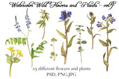 Watercolor Wild Flowers and Plants vol.4 Product Image 3