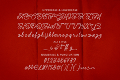 Headtrec Monoline Vintage Font Script Product Image 10