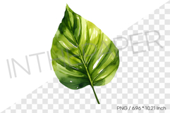 Heart leaf Tropical Summer Clipart Watercolor Illustration Product Image 1