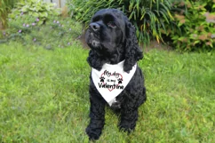 My dog is my Valentine, anti Valentines day Product Image 2