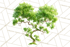 Magical Forest of Hearts Clipart, Valentine Heart Trees PNG Product Image 4