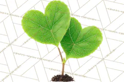 Magical Forest of Hearts Clipart, Valentine Heart Trees PNG Product Image 5