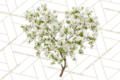 Magical Forest of Hearts Clipart, Valentine Heart Trees PNG Product Image 3