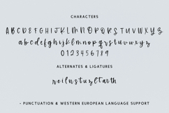 Hearth Script Product Image 10