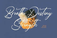 Heartin Daniela Bold Handwritten Font Product Image 16