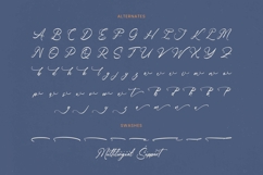 Heartin Daniela Bold Handwritten Font Product Image 19