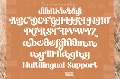 Hearty Beltime - Display Retro Serif Product Image 19