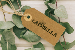 Heary Font Product Image 10