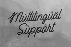 Heatched Monoline Script Font Retro Product Image 5