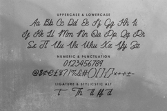 Heatched Monoline Script Font Retro Product Image 7