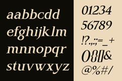Hecta Ahera - Serif Font Product Image 9