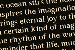 Hecta Ahera - Serif Font Product Image 6