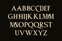 Hecta Ahera - Serif Font Product Image 8