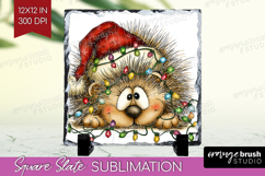 Hedgehog Tangled In Christmas Lights Slate PNG Funny Xmas Product Image 1