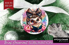 Hedgehog Reading Ornament PNG Book Lover PNG Sublimation Product Image 1