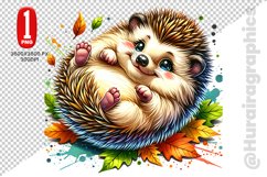 Hedgehog Clipart - PNG File Product Image 1